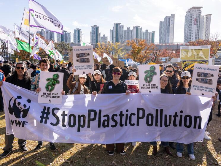 Stop Plastic Pollution